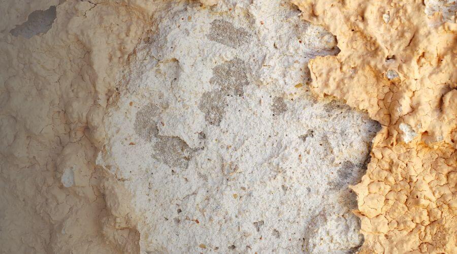 Why choose water damage restoration service for commercial water damage restoration in Tacoma